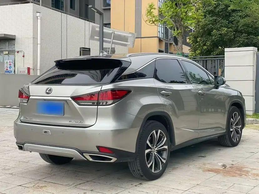 Lexus RX 2020 300 4x4 Elegant Edition China VI — миниатюра 19