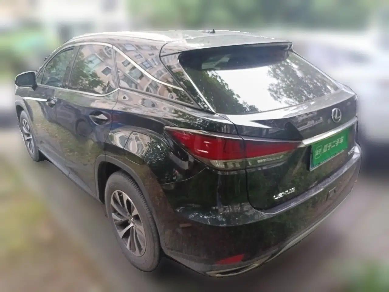 Lexus RX 2020 300 Two-Wheel Drive Elite Edition China VI Standard — миниатюра 4