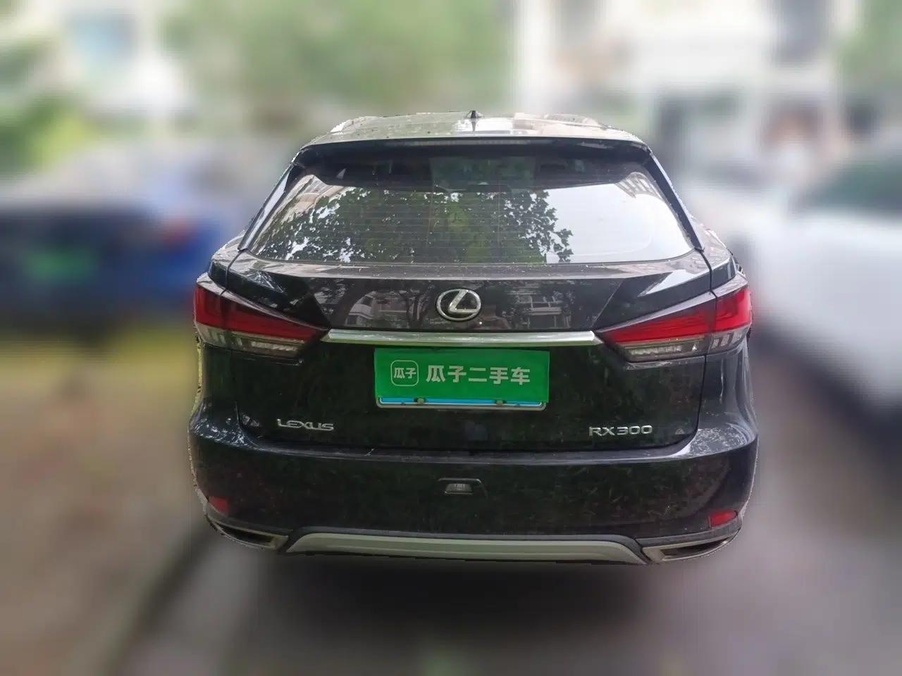 Lexus RX 2020 300 Two-Wheel Drive Elite Edition China VI Standard — миниатюра 5