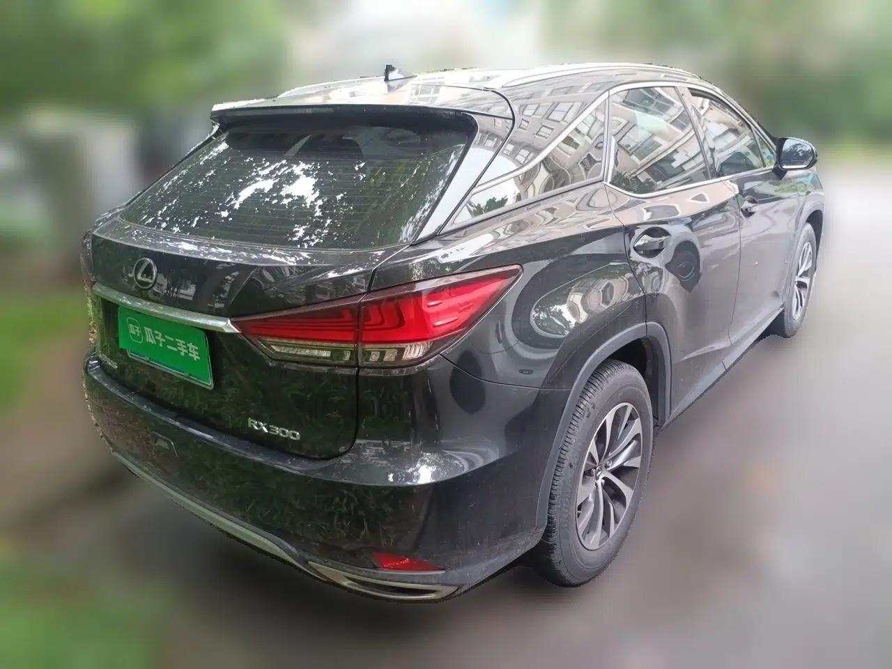 Lexus RX 2020 300 Two-Wheel Drive Elite Edition China VI Standard — миниатюра 6
