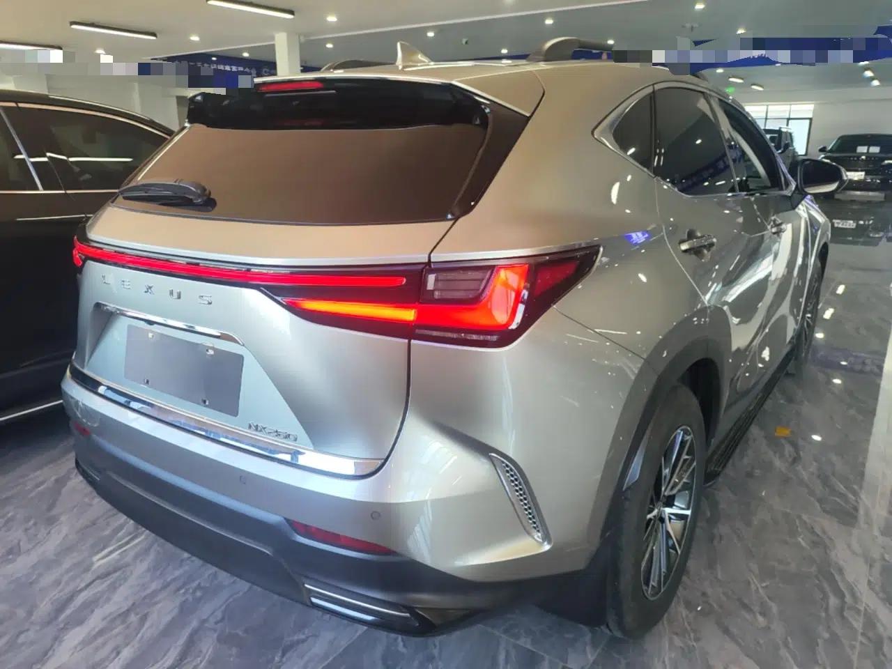 Lexus NX 2023 260 Front-Wheel Drive Chuanchi Edition — миниатюра 6
