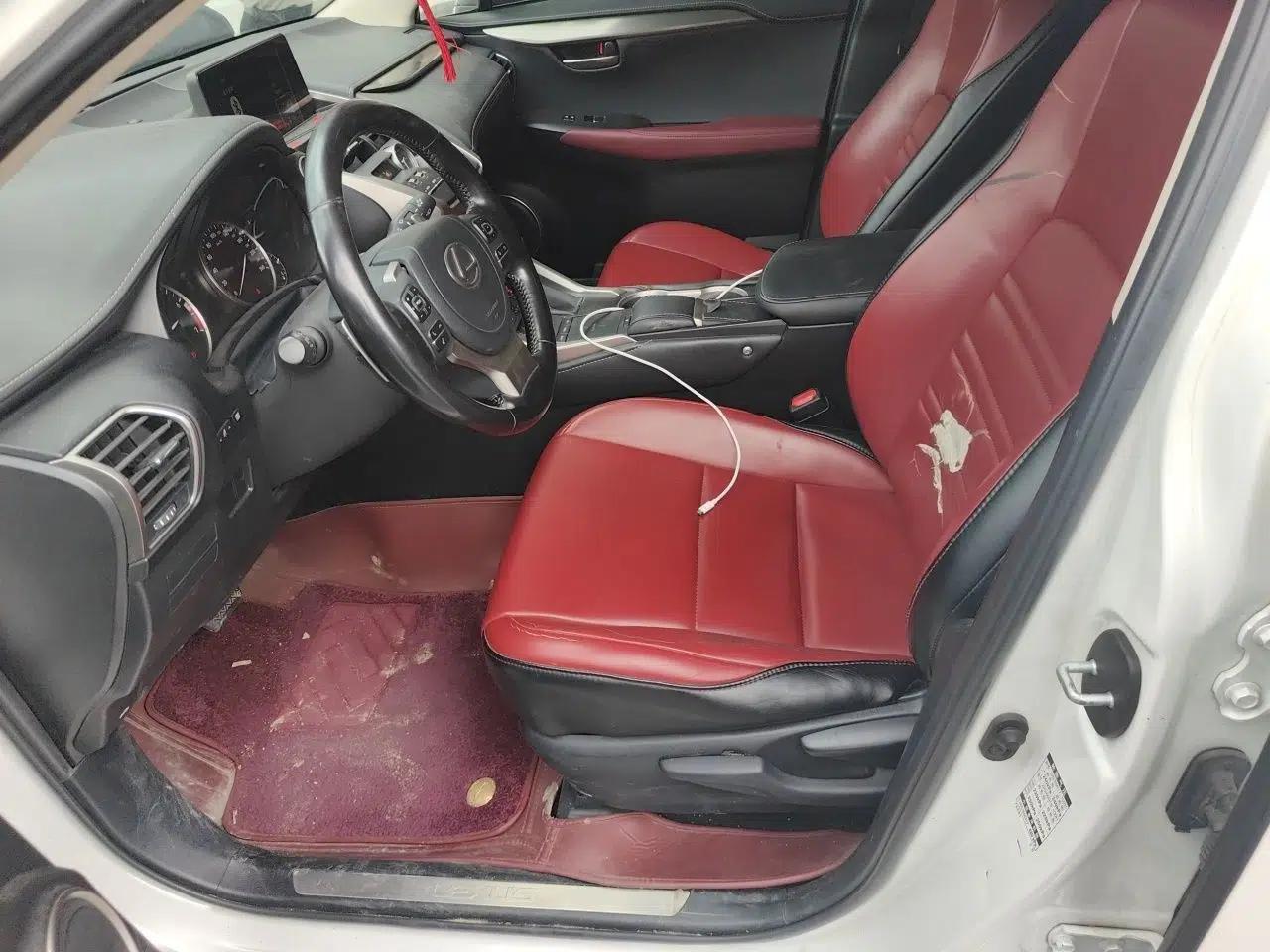 Lexus NX 2020 200 Front-Wheel Drive Freeline Edition China VI Standard — миниатюра 12