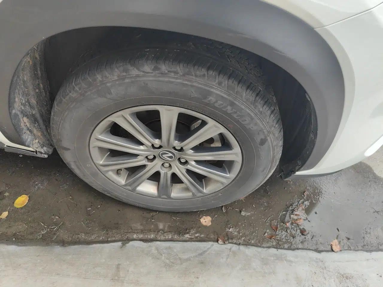 Lexus NX 2020 200 Front-Wheel Drive Freeline Edition China VI Standard — миниатюра 5