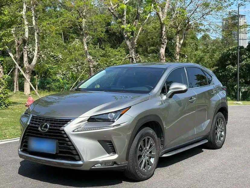 Lexus NX 2020 200 Front-Wheel Drive Freeline Edition China VI Standard — миниатюра 1