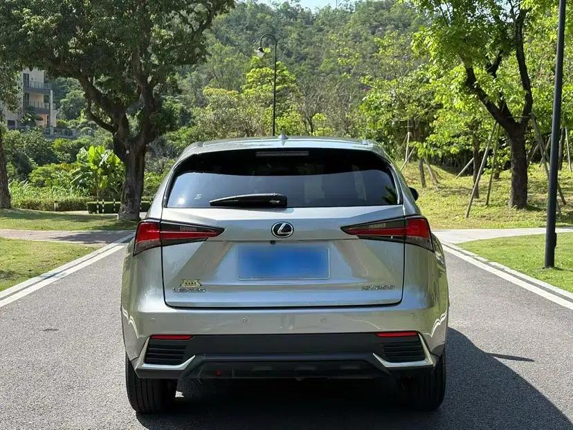 Lexus NX 2020 200 Front-Wheel Drive Freeline Edition China VI Standard — миниатюра 17