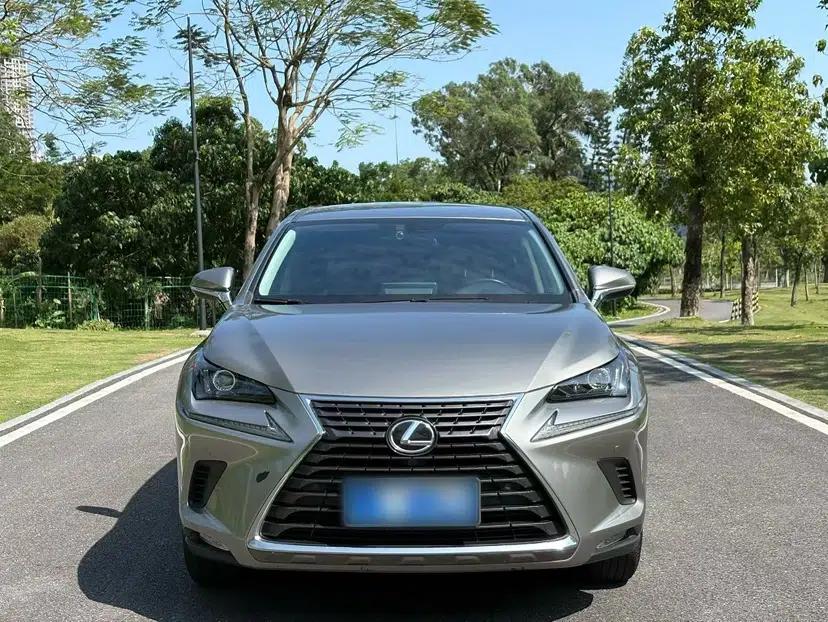 Lexus NX 2020 200 Front-Wheel Drive Freeline Edition China VI Standard — миниатюра 18