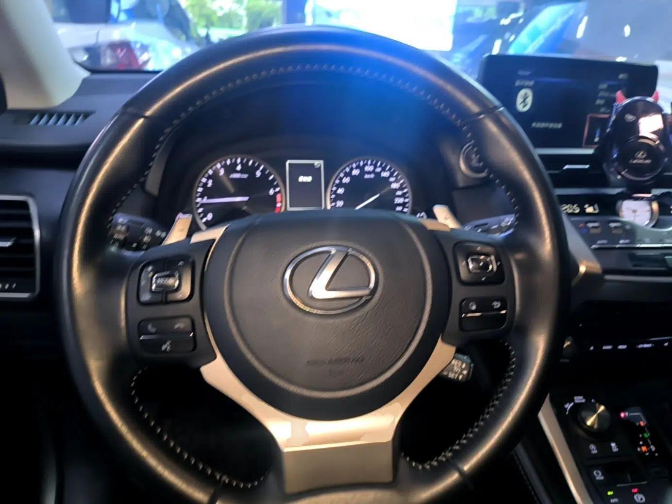 Lexus NX 2020 200 Front-Wheel Drive Freeline Edition China VI Standard — миниатюра 20