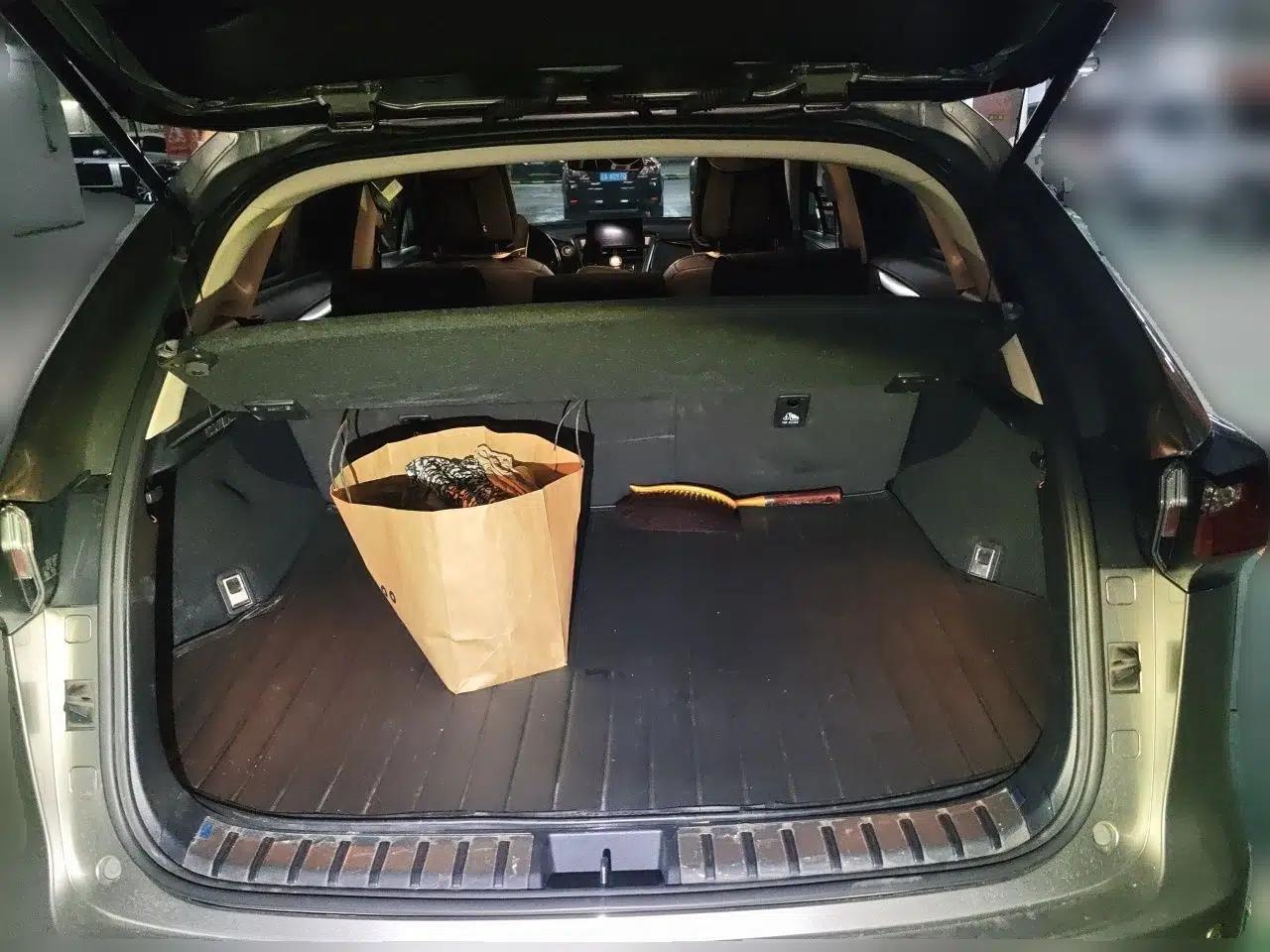 Lexus NX 2015 200 Front-Wheel Drive X-Trail SE Edition — миниатюра 16