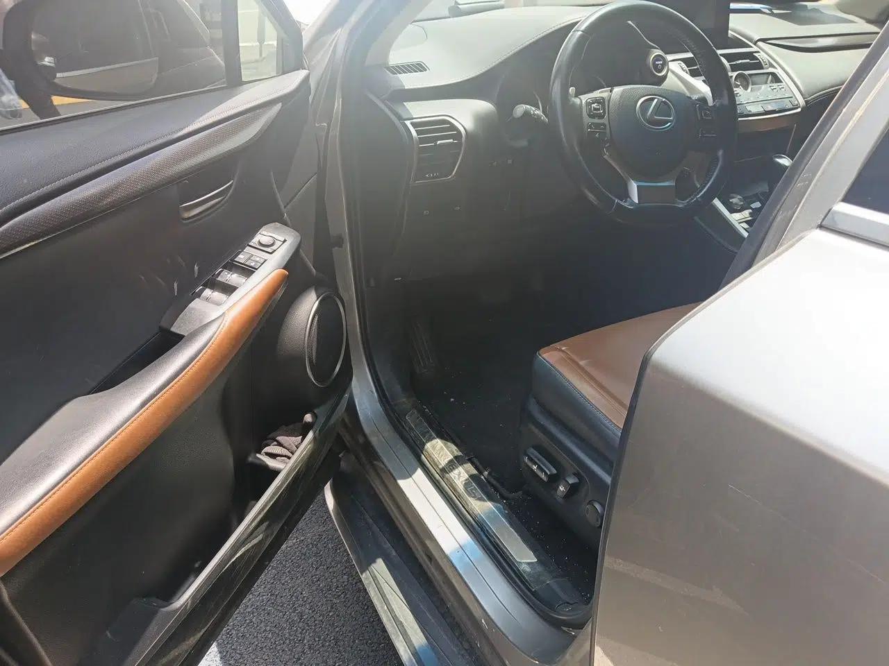 Lexus NX 2018 300h Front-Wheel-Drive FENGSHANG Version China V Emission Standard — миниатюра 16