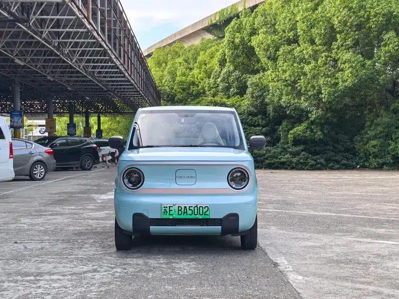 Panda 2024 Model 200km Panda Rider — миниатюра 2