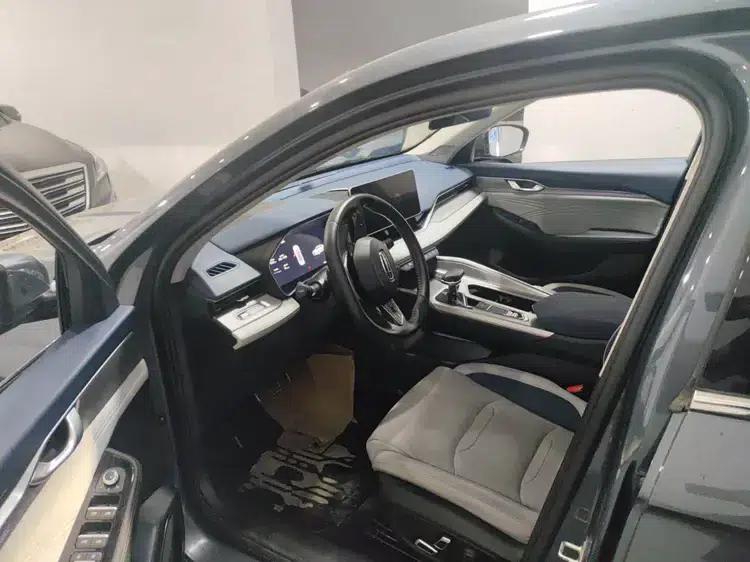 Xingrui 2020 2.0T Elite — миниатюра 8