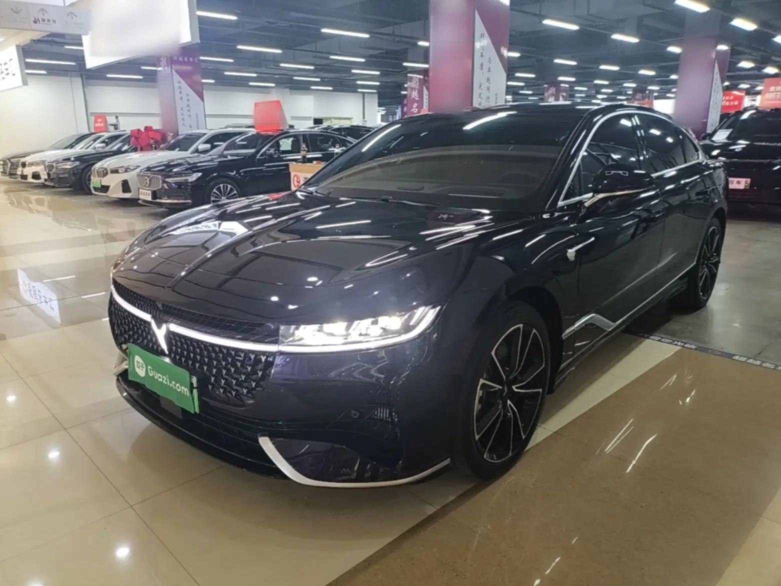 VOYAH PASSION 2024 PHEV Four-Wheel Drive Ultra-Long Range Flagship Model — миниатюра 1
