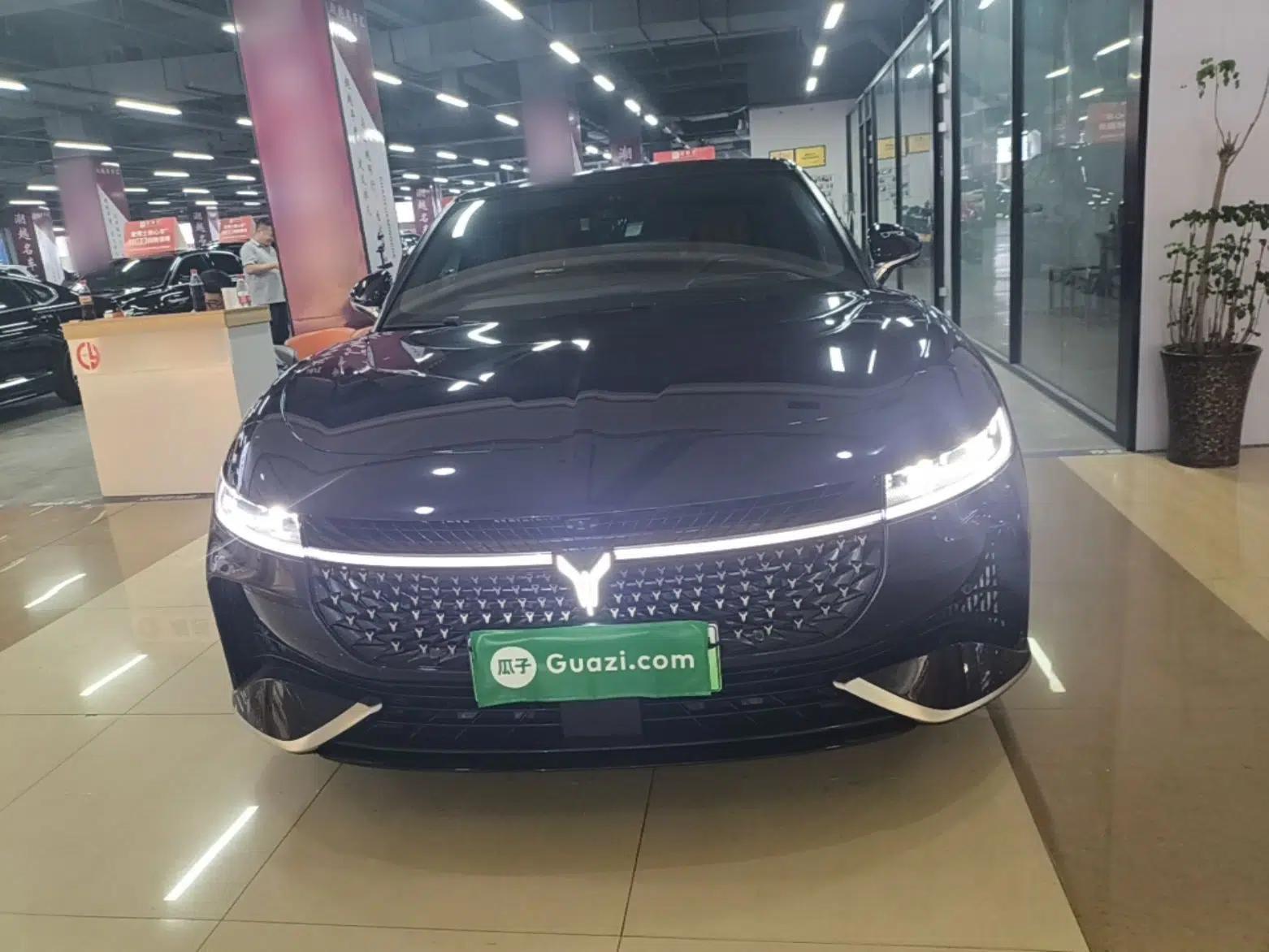 VOYAH PASSION 2024 PHEV Four-Wheel Drive Ultra-Long Range Flagship Model — миниатюра 2