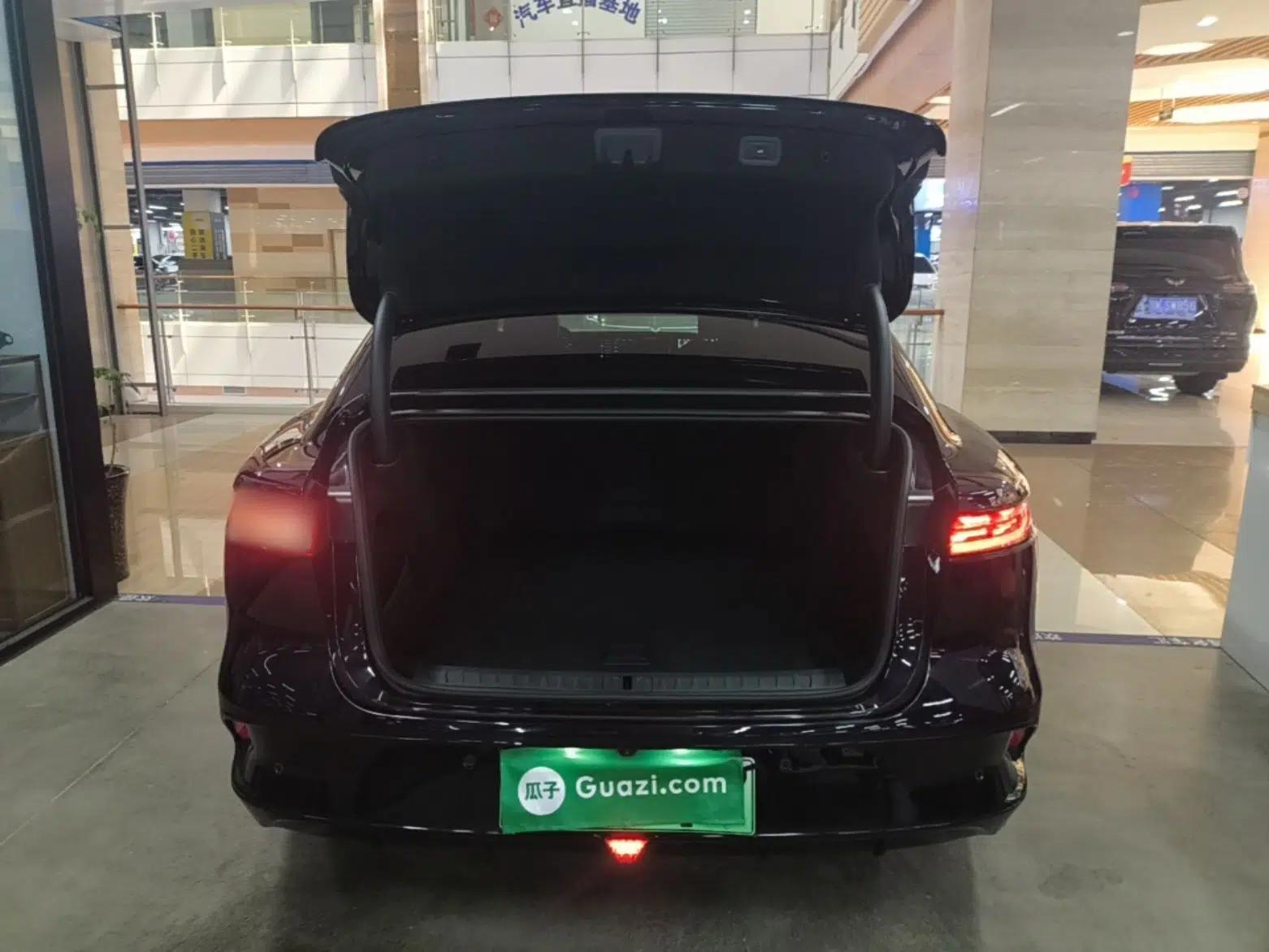 VOYAH PASSION 2024 PHEV Four-Wheel Drive Ultra-Long Range Flagship Model — миниатюра 22