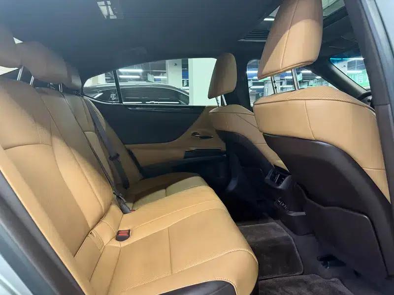 Lexus ES 2020 300h Premium Edition (China V Emission Standard) — миниатюра 18