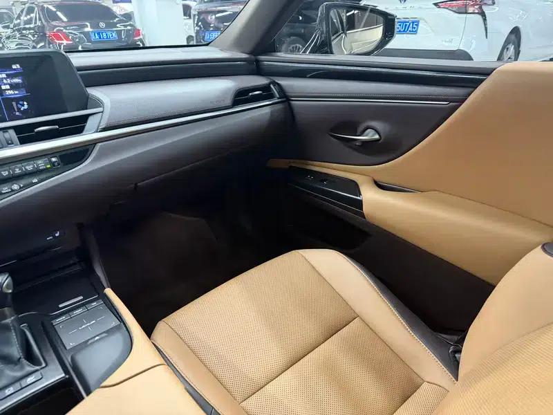 Lexus ES 2020 300h Premium Edition (China V Emission Standard) — миниатюра 8
