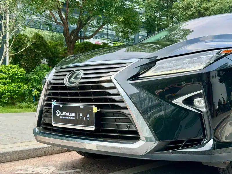 Lexus RX 2016 300 AWD Elegant Edition (China V Emission Standard) — миниатюра 12