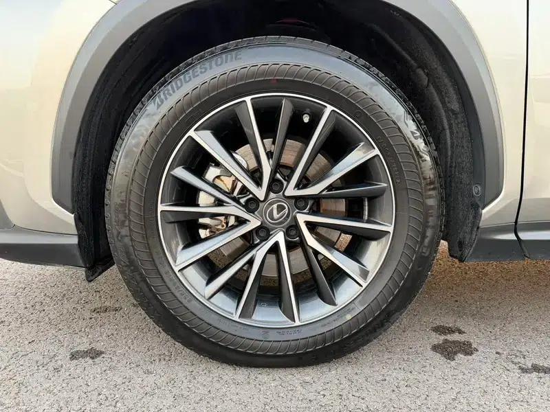 Lexus NX 2022 260 AWD Elite Edition — миниатюра 12