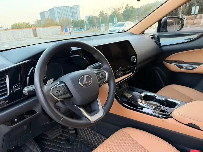 Lexus NX 2022 260 AWD Elite Edition — миниатюра 19