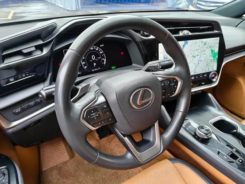 Lexus RZ 2023 450e DIRECT4 Luxury Edition — миниатюра 12