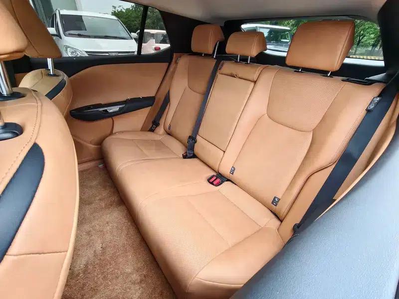 Lexus RZ 2023 450e DIRECT4 Luxury Edition — миниатюра 16