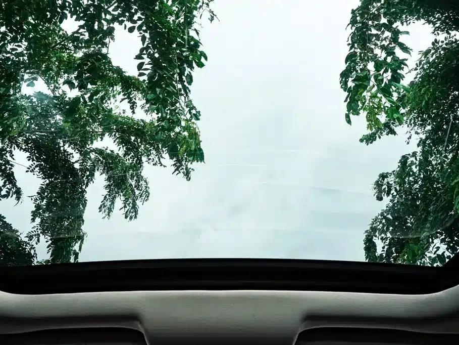 Territory 2019 EcoBoost 145 CVT Elite Edition (China VI Emission Standard) — миниатюра 18
