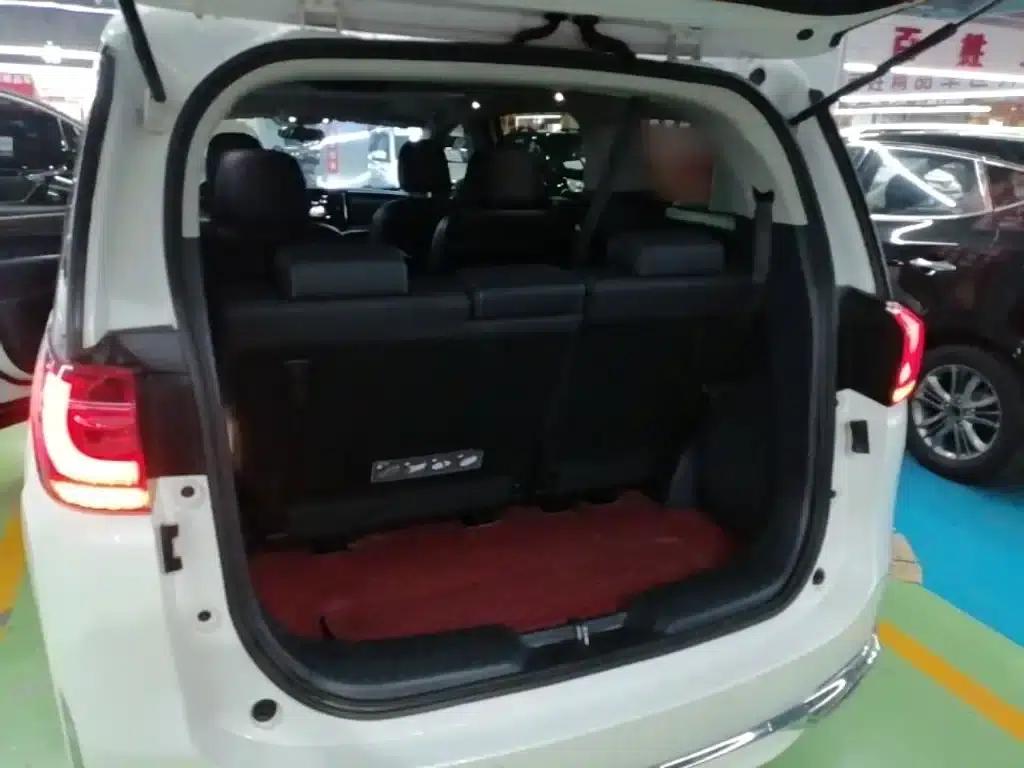 Trumpchi M8 2023 Leading Series 390T Premium Edition — миниатюра 19