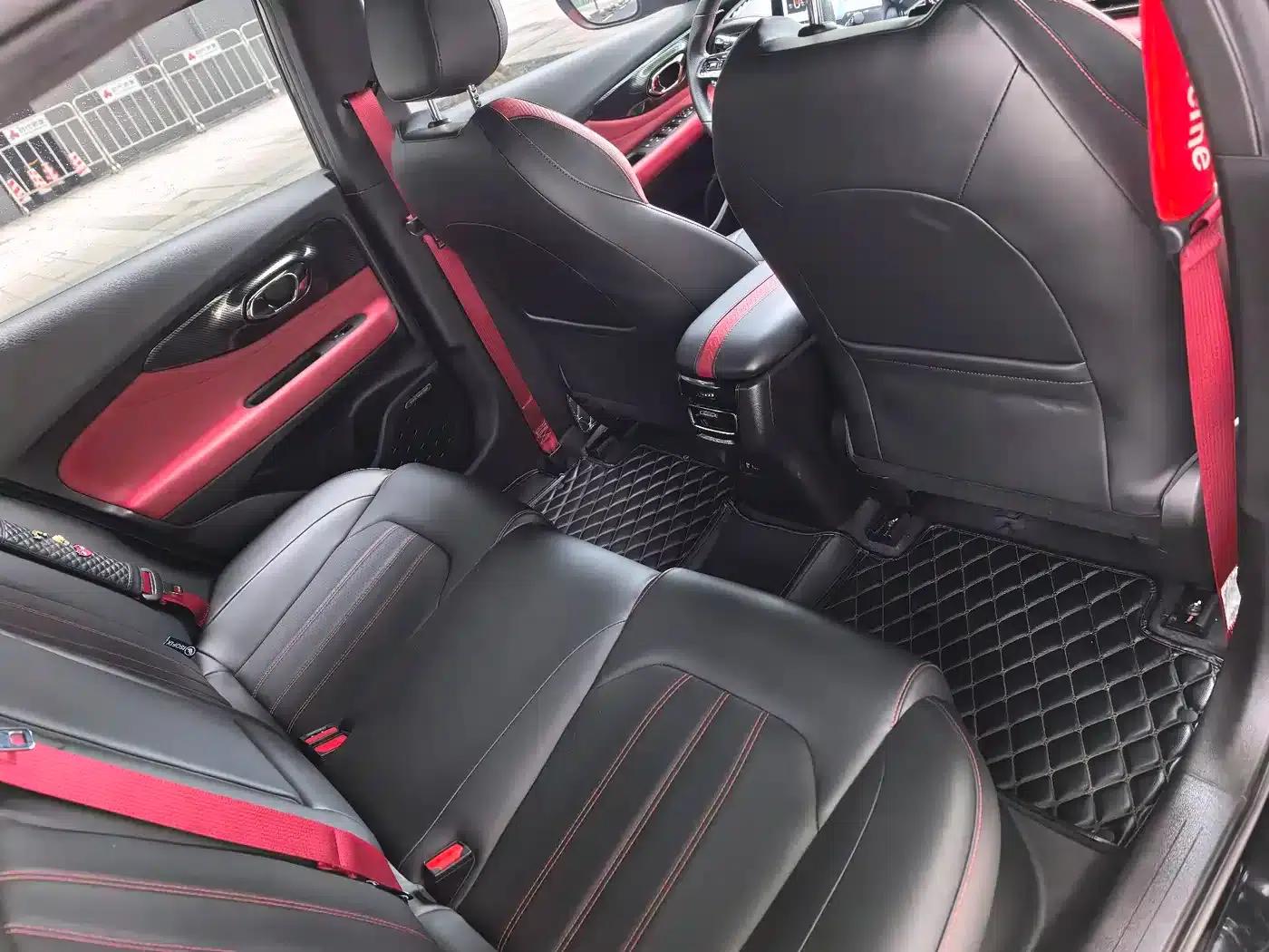 Shadow Leopard 2021 270T DCT J16 Edition — миниатюра 13