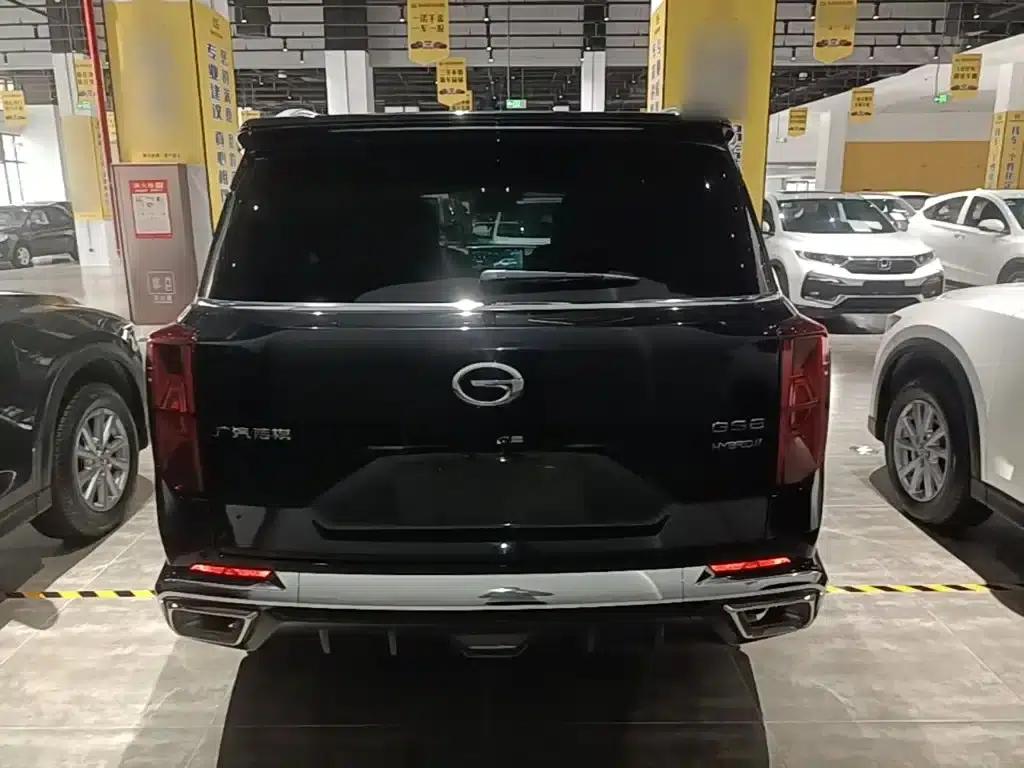Trumpchi GS8 2022 Hybrid Series 2.0TM 2WD Premium Edition (Six Seats) — миниатюра 6