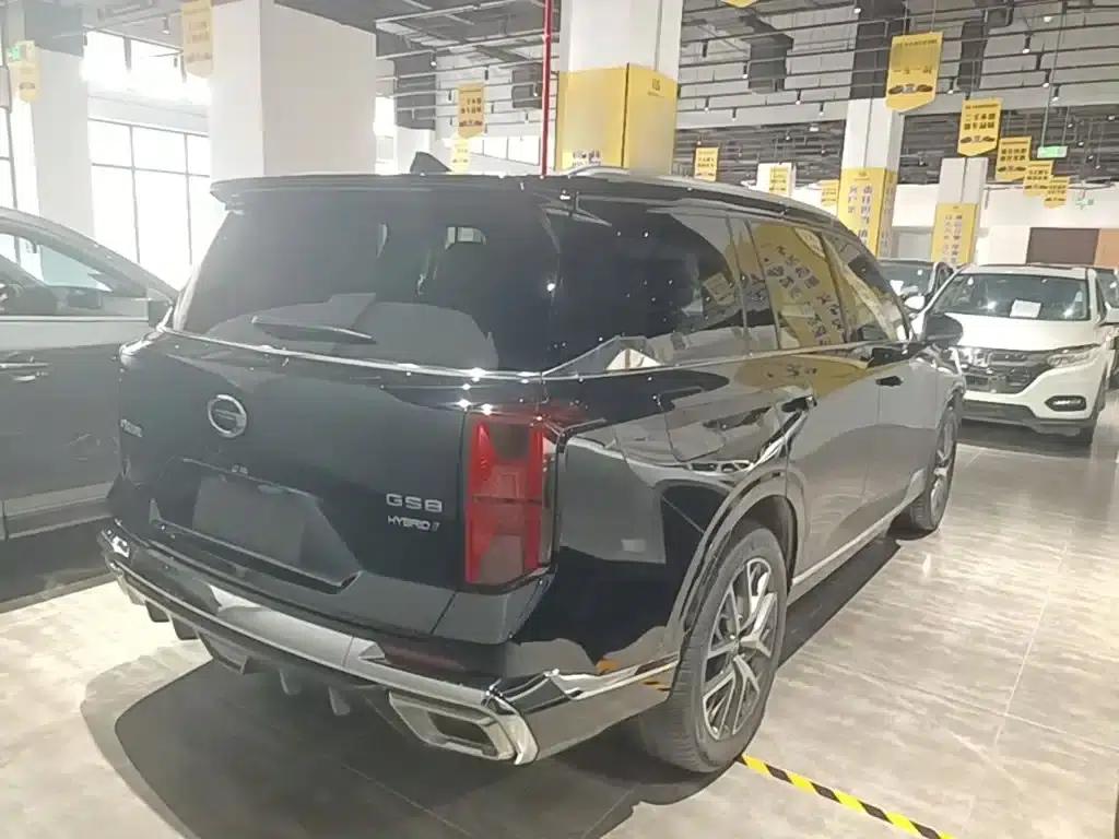 Trumpchi GS8 2022 Hybrid Series 2.0TM 2WD Premium Edition (Six Seats) — миниатюра 7