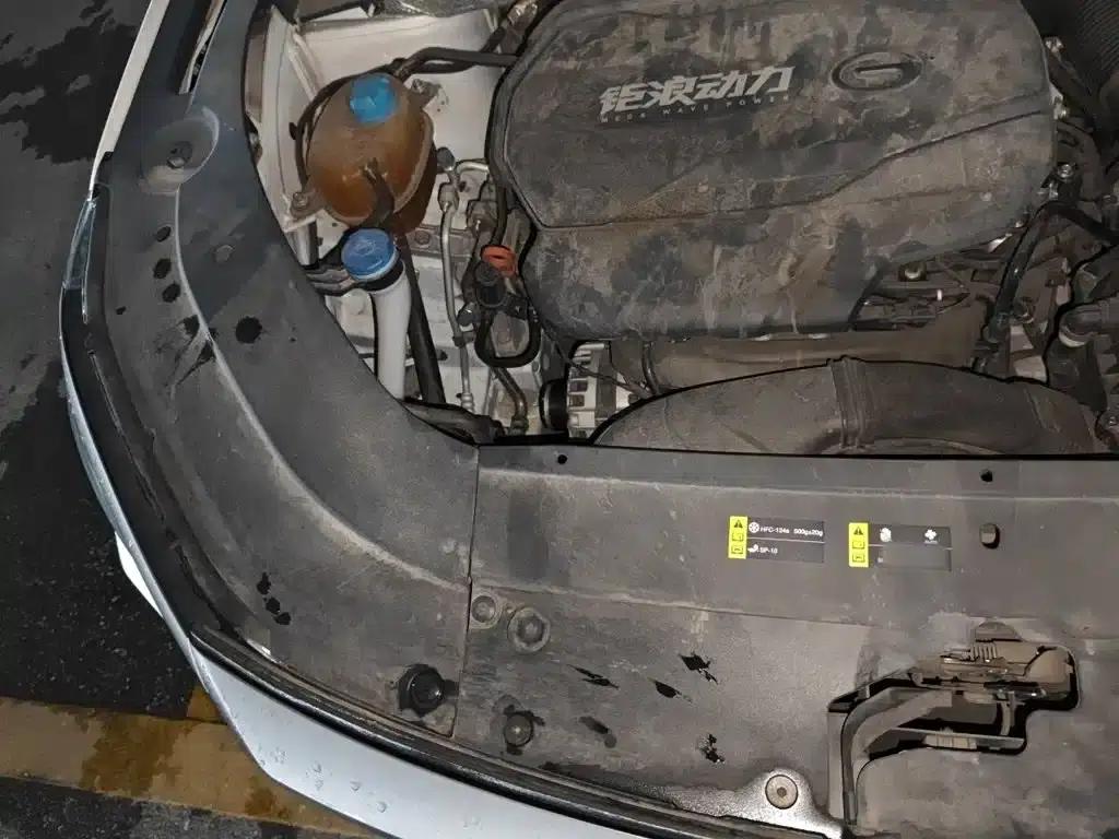 Trumpchi GS4 PLUS 2021 390T Automatic Nebula Edition — миниатюра 21