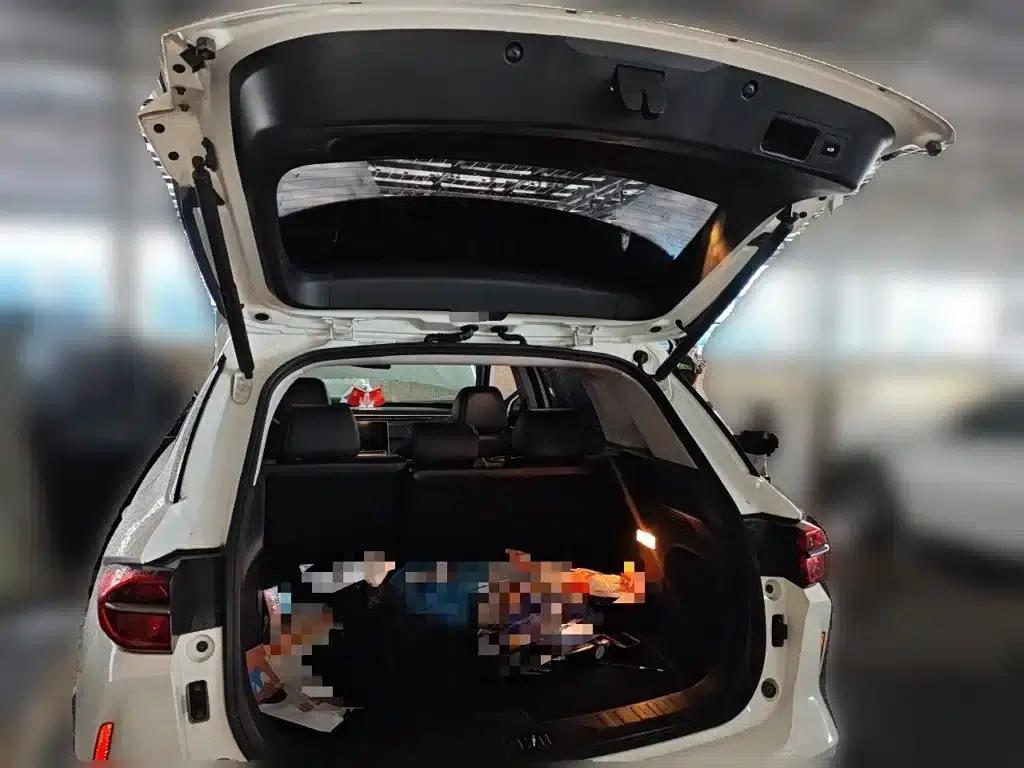 Trumpchi GS4 PLUS 2021 390T Automatic Nebula Edition — миниатюра 10