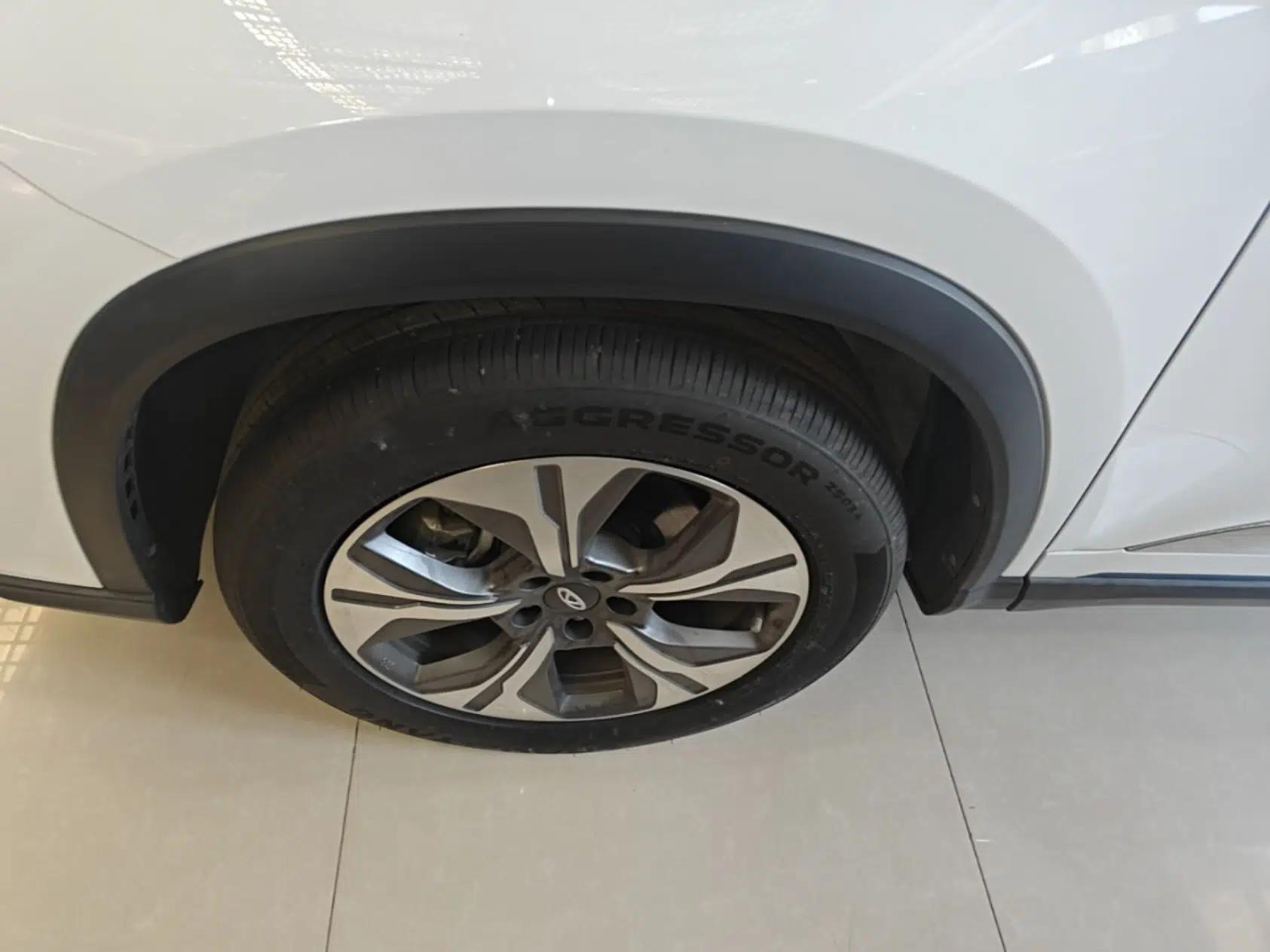 Chery Tiggo 8 PRO New Energy 2023 Champion Edition 1.5T 100km Glory Version — миниатюра 10