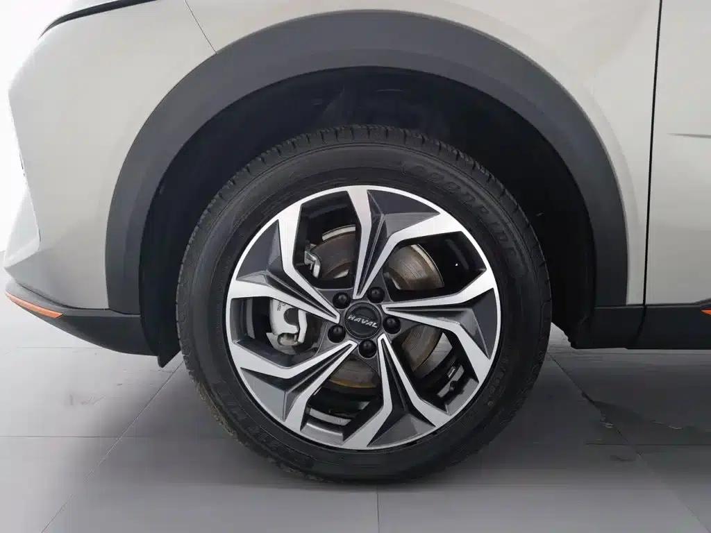Haval Mythical Beast 2022 2.0T Smart Edition — миниатюра 17