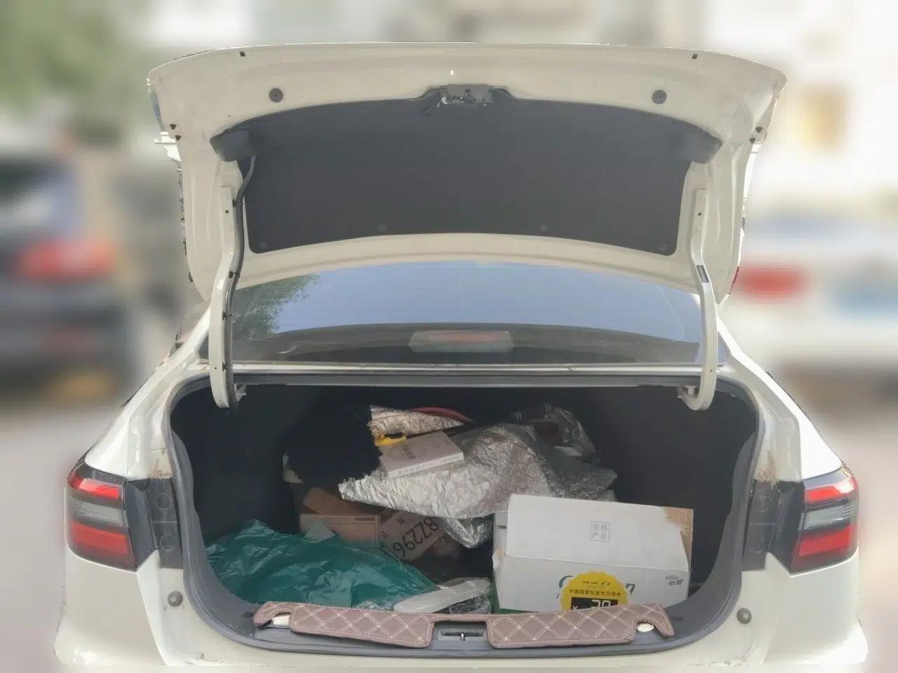 Venucia D60 2021 PLUS 1.6L XL CVT Yue Ling Edition — миниатюра 19