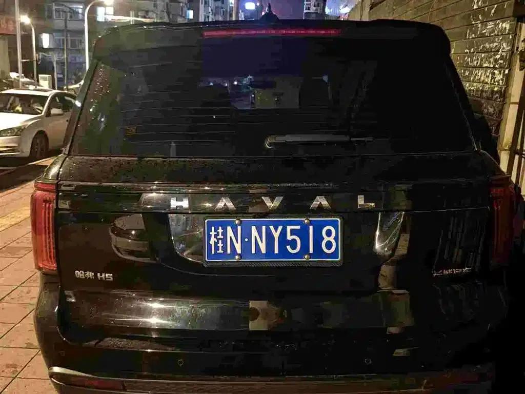 Haval H5 2023 2.0T Automatic 4WD Leading Edition Diesel — миниатюра 7