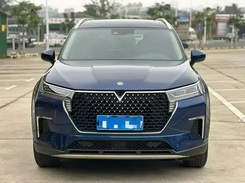 Venucia Star 2022 260T 48V Mild Hybrid Turbocharged Star Enjoyment Edition — миниатюра 2