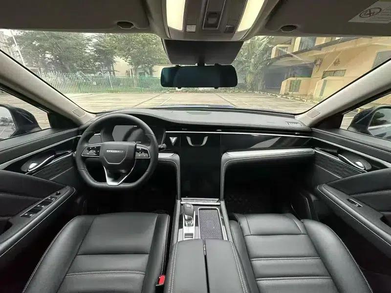 Venucia Star 2022 260T 48V Mild Hybrid Turbocharged Star Enjoyment Edition — миниатюра 11