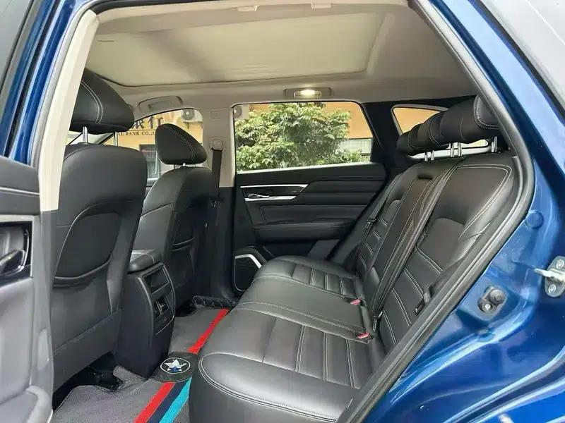Venucia Star 2022 260T 48V Mild Hybrid Turbocharged Star Enjoyment Edition — миниатюра 13