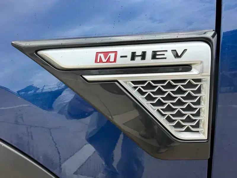 Venucia Star 2022 260T 48V Mild Hybrid Turbocharged Star Enjoyment Edition — миниатюра 10