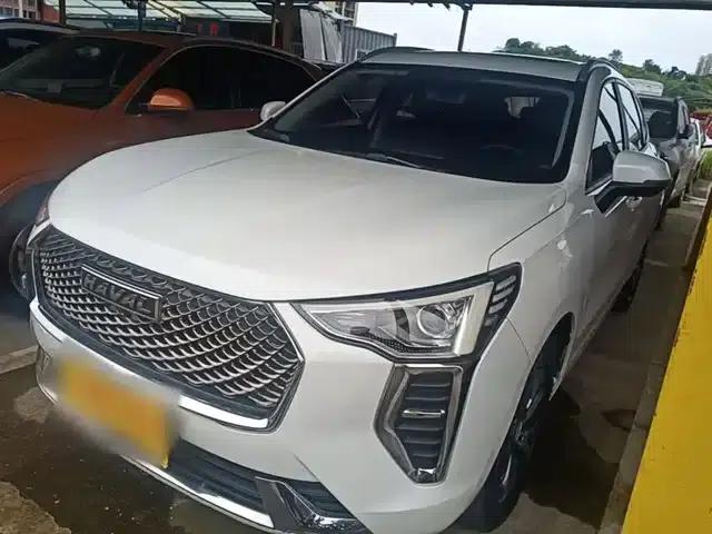 Haval First Love 2021 1.5T Automatic Large Edition