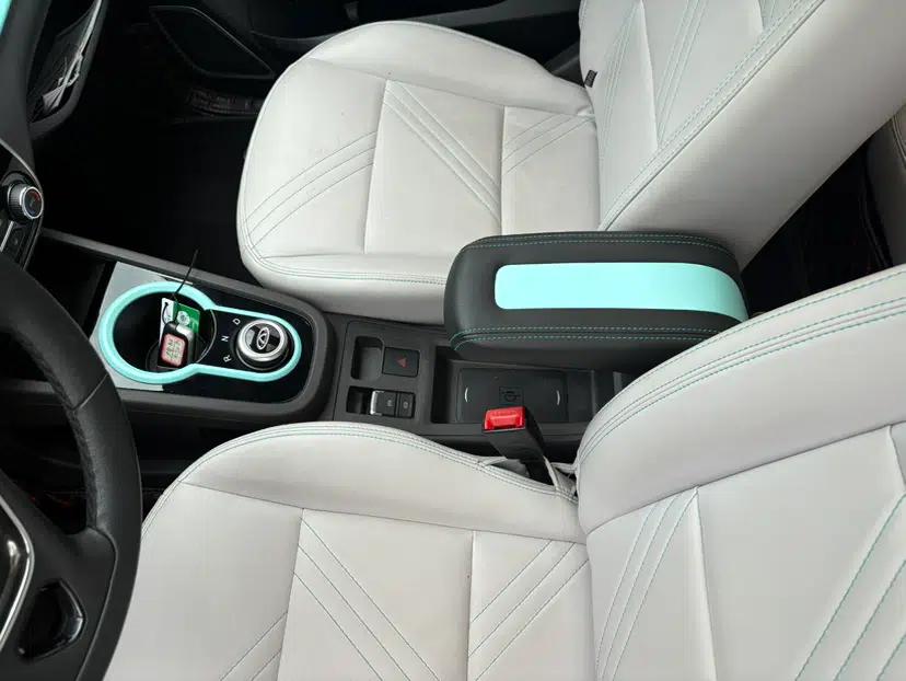 Chery QQ Little Ant 2021 200 000 Yuan "Ant Fan" Edition Energized Version NMC Lithium Battery 301 km — миниатюра 30