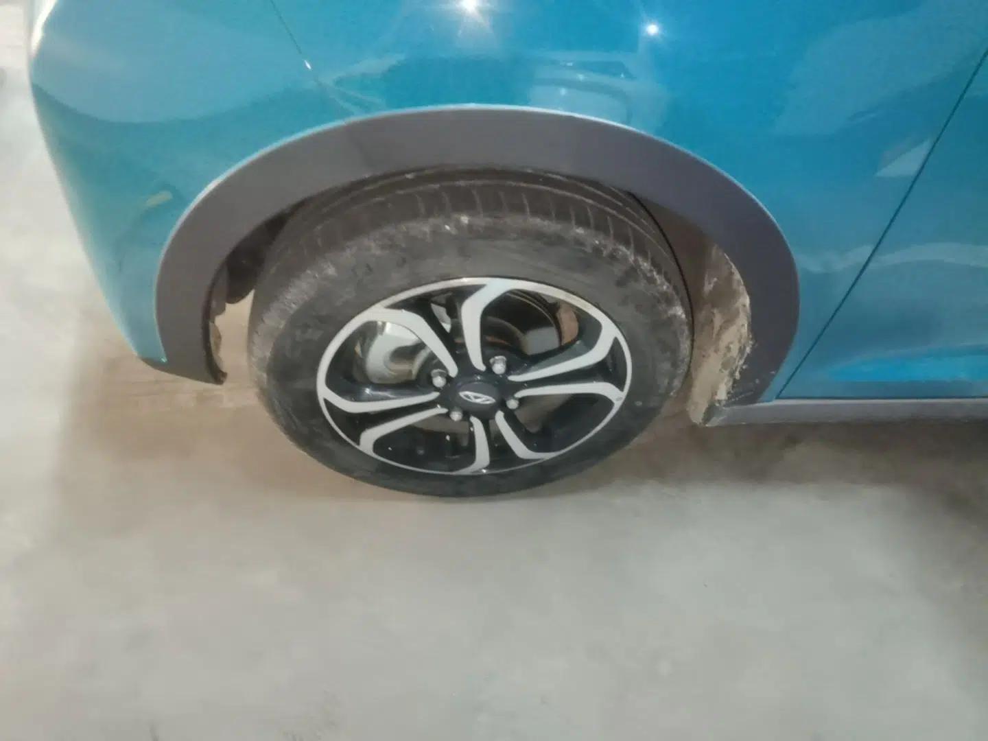 Chery QQ Little Ant 2021 200 000 Yuan "Ant Fan" Edition Energized Version NMC Lithium Battery 301 km — миниатюра 10