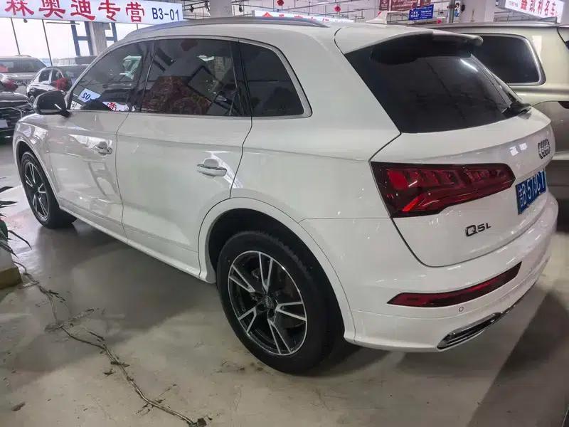 Audi Q5L 2020 40 TFSI Luxury Fashion Edition — миниатюра 4