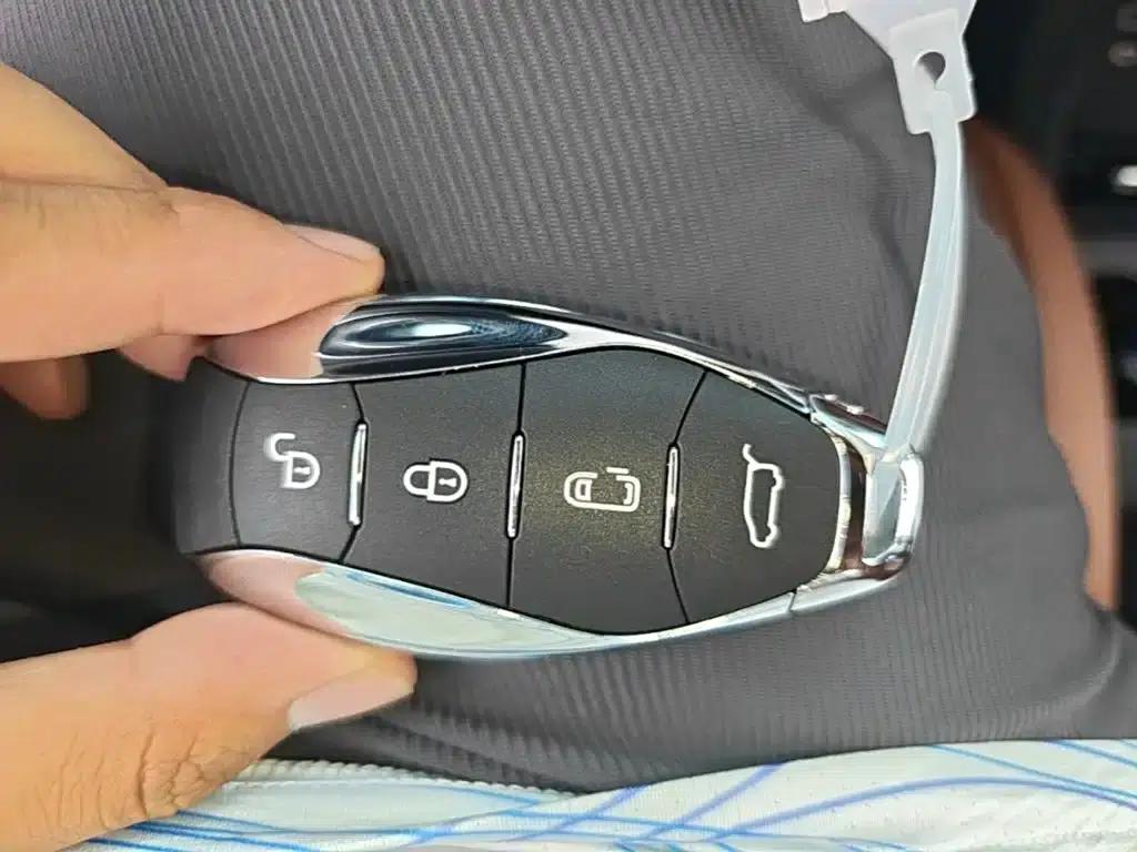 Hongqi HQ9 PHEV 2024 2.0T AWD Luxury Edition — миниатюра 9