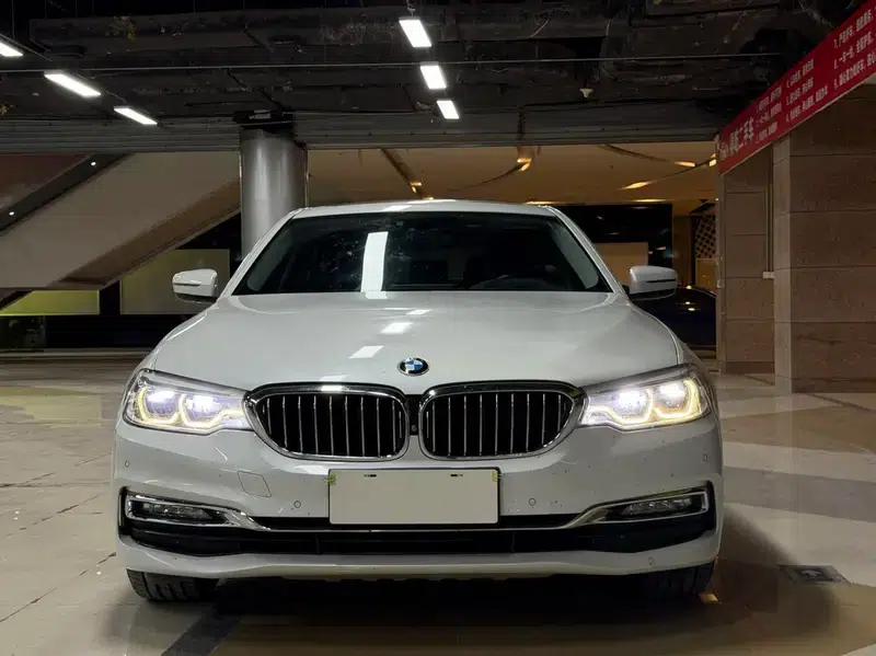 BMW 5 Series 2018 530Li Luxury Package — миниатюра 2