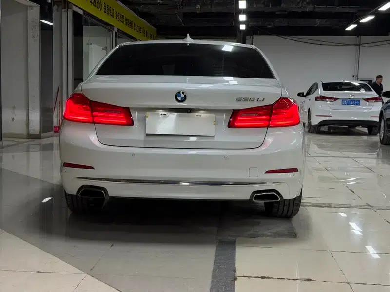BMW 5 Series 2018 530Li Luxury Package — миниатюра 5