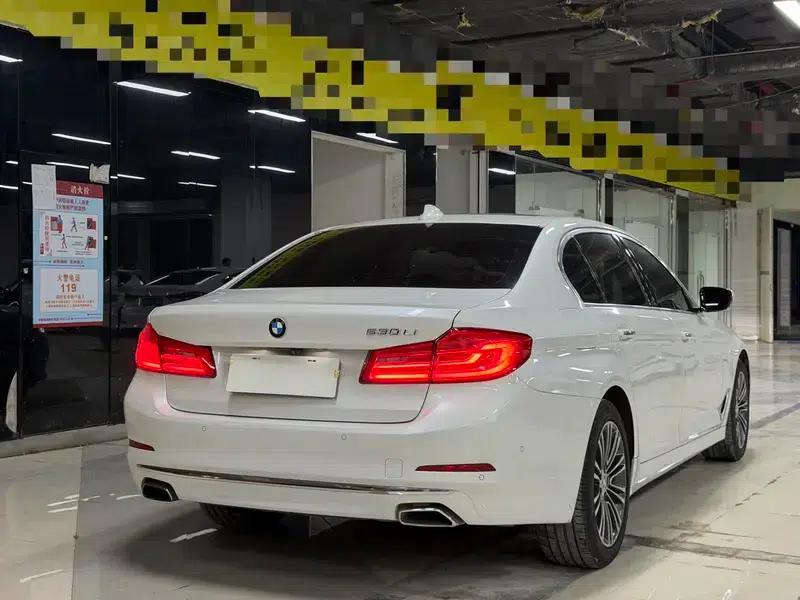 BMW 5 Series 2018 530Li Luxury Package — миниатюра 6
