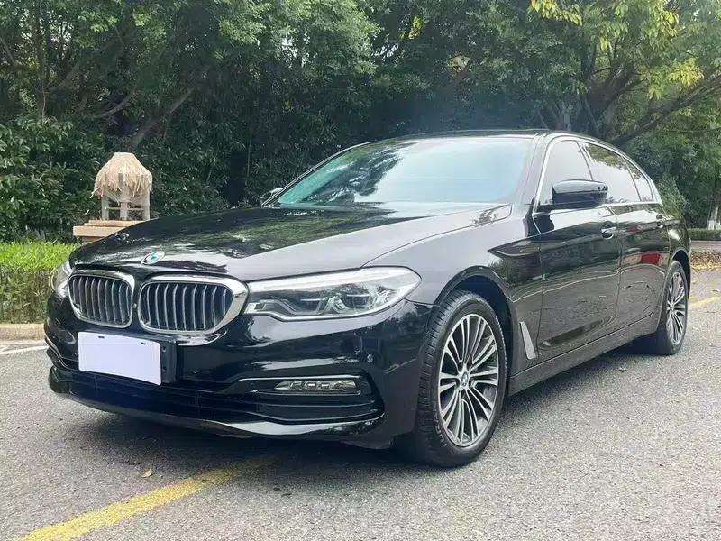 2018 BMW 5 Series Facelift 530Li Luxury Package — миниатюра 1