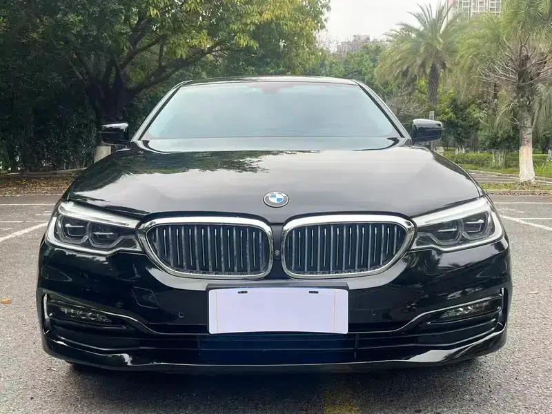 2018 BMW 5 Series Facelift 530Li Luxury Package — миниатюра 2